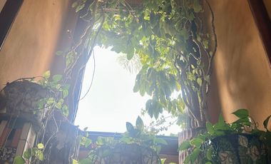 San Ángel  venta  Joya de Casa en Condominio