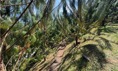 Vendo espectacular Casa Campestre en El Retiro Antioquia