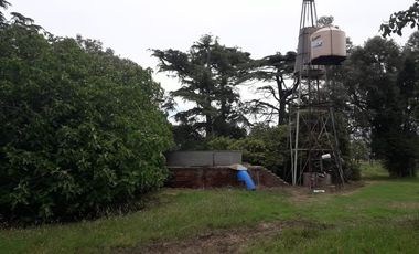 Exclusiva Chacra-Campo con casa en Bigand-Sta Fé