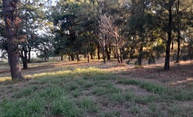 Exclusiva Chacra-Campo con casa en Bigand-Sta Fé