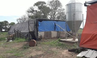 Exclusiva Chacra-Campo con casa en Bigand-Sta Fé