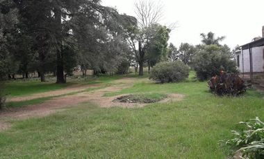 Exclusiva Chacra-Campo con casa en Bigand-Sta Fé