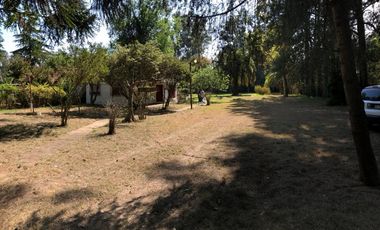 Quinta - Guernica