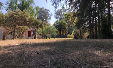 Quinta - Guernica