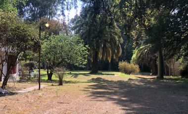 Quinta - Guernica