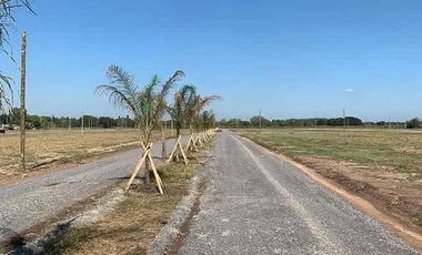 Terreno en venta - 250mts2 - Cañuelas