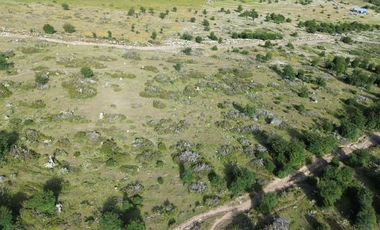 Sitio en Venta en Resultante de la subdivisión de la Hijuela Nº16 lote A-1, producto de la subdivisión de la Hijuela Nº16 Lote A, Dorotea