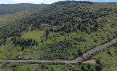Sitio en Venta en Resultante de la subdivisión de la Hijuela Nº16 lote A-1, producto de la subdivisión de la Hijuela Nº16 Lote A, Dorotea