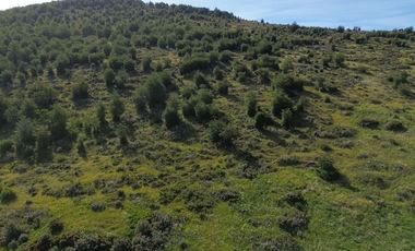 Sitio en Venta en Resultante de la subdivisión de la Hijuela Nº16 lote A-1, producto de la subdivisión de la Hijuela Nº16 Lote A, Dorotea