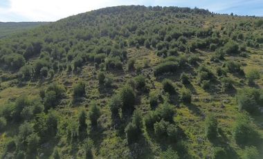 Sitio en Venta en Resultante de la subdivisión de la Hijuela Nº16 lote A-1, producto de la subdivisión de la Hijuela Nº16 Lote A, Dorotea