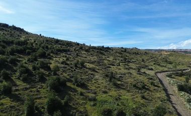 Sitio en Venta en Resultante de la subdivisión de la Hijuela Nº16 lote A-1, producto de la subdivisión de la Hijuela Nº16 Lote A, Dorotea