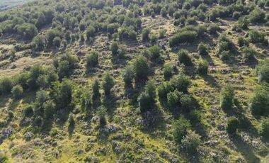 Sitio en Venta en Resultante de la subdivisión de la Hijuela Nº16 lote A-1, producto de la subdivisión de la Hijuela Nº16 Lote A, Dorotea
