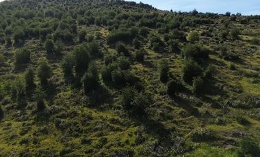 Sitio en Venta en Resultante de la subdivisión de la Hijuela Nº16 lote A-1, producto de la subdivisión de la Hijuela Nº16 Lote A, Dorotea