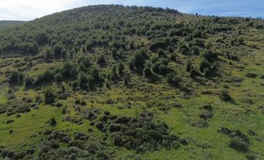 Sitio en Venta en Resultante de la subdivisión de la Hijuela Nº16 lote A-1, producto de la subdivisión de la Hijuela Nº16 Lote A, Dorotea