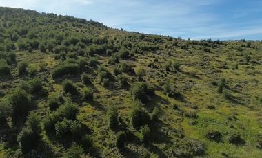 Sitio en Venta en Resultante de la subdivisión de la Hijuela Nº16 lote A-1, producto de la subdivisión de la Hijuela Nº16 Lote A, Dorotea