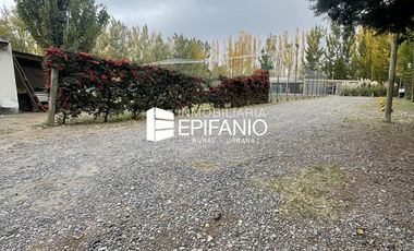 Venta - Propiedad Comercial en Stefenelli  - L014