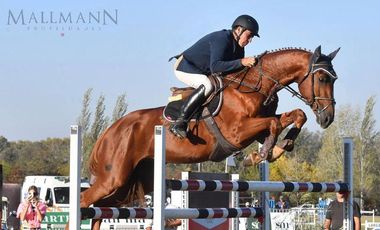 Venta Lote Central en Tessalia