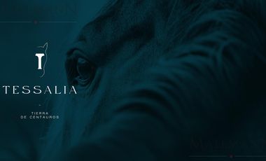 Venta Lote Central en Tessalia