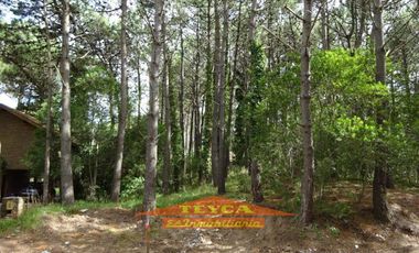VENTA,Terreno en venta, zona Norte PLAYA, Pinamar