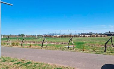 Terreno 800 m² - Arturo Illia 1500 - La Finca - Funes | venta