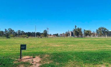 Terreno 800 m² - Arturo Illia 1500 - La Finca - Funes | venta