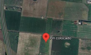 Campo 18 ha Figuera Santa Fe