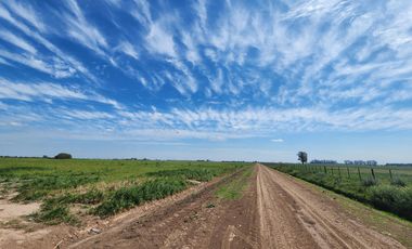 Campo 18 ha Figuera Santa Fe