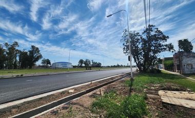 Terreno en Fighiera