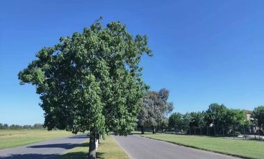 Terreno en venta - 543Mts2 - San Ramón, Pilar