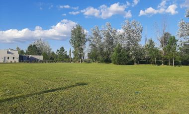 VENTA/PERMUTA - Lotes - La Rinconada, Ibarlucea.