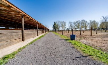 VENTA/PERMUTA - Lotes - La Rinconada, Ibarlucea.