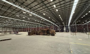 Depósito en Alquiler -11.000m2 - Garin