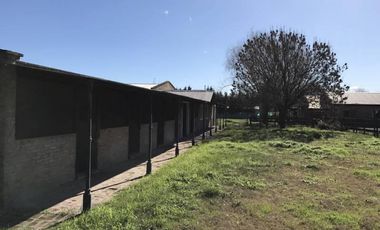 Oportunidad Alquiler Chacra con Caballerizas - Zona Pilará - Mallmann Propiedades