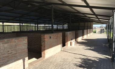 Oportunidad Alquiler Chacra con Caballerizas - Zona Pilará - Mallmann Propiedades