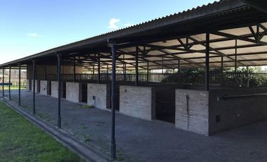 Oportunidad Alquiler Chacra con Caballerizas - Zona Pilará - Mallmann Propiedades