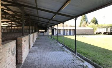 Oportunidad Alquiler Chacra con Caballerizas - Zona Pilará - Mallmann Propiedades
