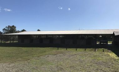 Oportunidad Alquiler Chacra con Caballerizas - Zona Pilará - Mallmann Propiedades