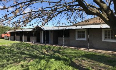 Oportunidad Alquiler Chacra con Caballerizas - Zona Pilará - Mallmann Propiedades