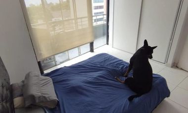 Departamento en alquiler - 1 Dormitorio 2 Baños - 52Mts2 - Saavedra