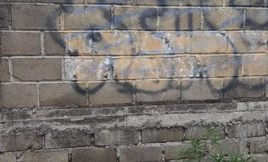 TERRENO EN HUAYAPAN - (3)