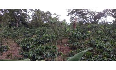 SE VENDE FINCA EN FILANDIA
