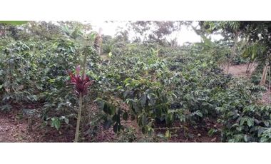 SE VENDE FINCA EN FILANDIA
