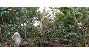 SE VENDE FINCA EN FILANDIA