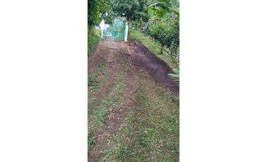 Se vende finca en filandia
