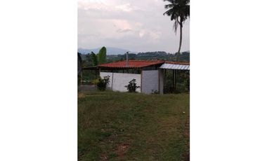 Se vende finca en filandia