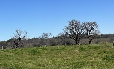 Venta Lote - Estancia Carabassa - Pilar | VCO Propiedades