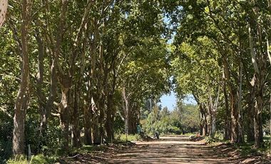 Venta Lote - Estancia Carabassa - Pilar | VCO Propiedades