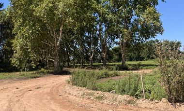 Venta Lote - Estancia Carabassa - Pilar | VCO Propiedades