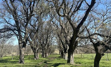 Venta Lote - Estancia Carabassa - Pilar | VCO Propiedades
