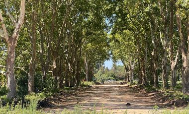 Venta Lote - Estancia Carabassa - Pilar | VCO Propiedades